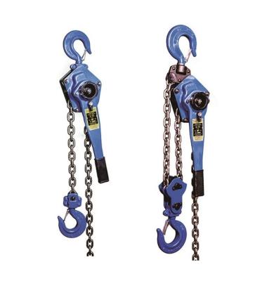 China Chain Type Handle Hoist Chain Pulley Block For Tower Erection for sale