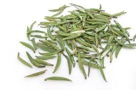 High quality early spring organic bamboo zhuyeqing green tea
