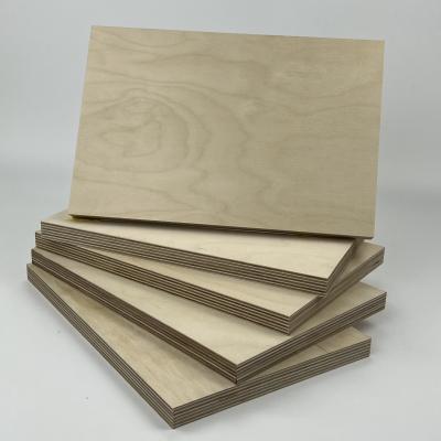 China Hojas de madera contrachapada de chapa de madera inofensivas durables, tablero de madera adhesivo fenólico de la capa en venta