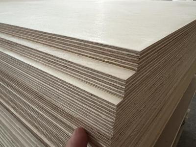 China Odorless Sturdy Hardwood Veneer Sheets , 2440x1220mm Wood Ply Plywood for sale