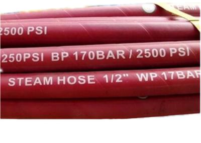 China EPDM Steam Cleaner Hose for sale