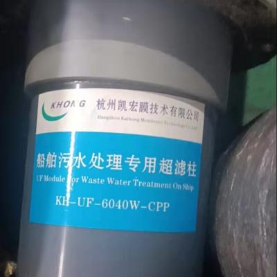 Chine Membrane de traitement des eaux usées des modules 160mm de membrane du Dal CPP UF de 8000 pour des eaux d'égout de bateaux à vendre