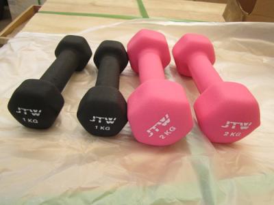China Fitness Spare part Casting gDumbbell for sale