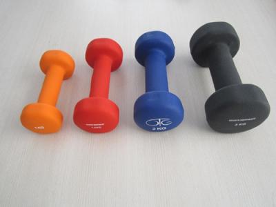 China Fitness Spare part Casting Dumbbell for sale