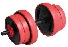 China China Gym Dumbbell Manufacturer for sale