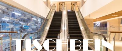 China Stainless Steel Commercial Escalator for sale