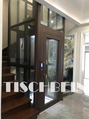 China Germany Technique Gearless Compact Design 300kg-450kg Home Villa Elevator 304 Stainless Steel Cabin EN81 Manual Door for sale