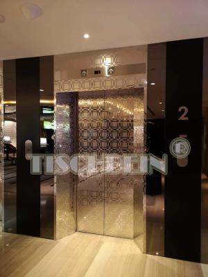 China 1000kg 1250kg 1.75m/S Machine Roomless Passenger Lifts Touchable COP Granit Marble Floor For Residential Building Hotel for sale