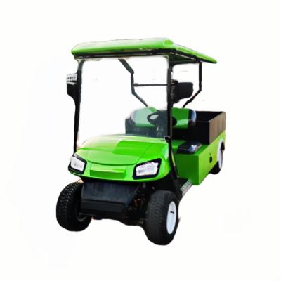 China 72V Green Electric Golf Cart Cargo Box Flatbed Electric Cart 2 Seats Golf Truck for sale