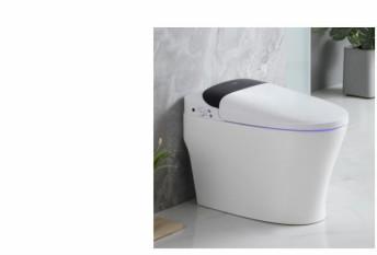 中国 Siphon Type Save Water Sanitary Ware Toilet Sgs Approval 販売のため