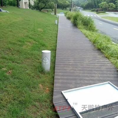 China Panel de techo de madera a medida Techo de bambú comprimido en venta
