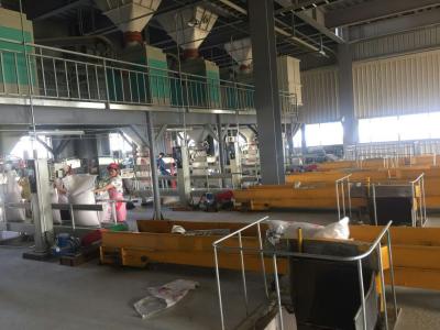 Китай Двойной хоппер веся Багер удобрения машины упаковки мочевины с утверждением КЭ продается