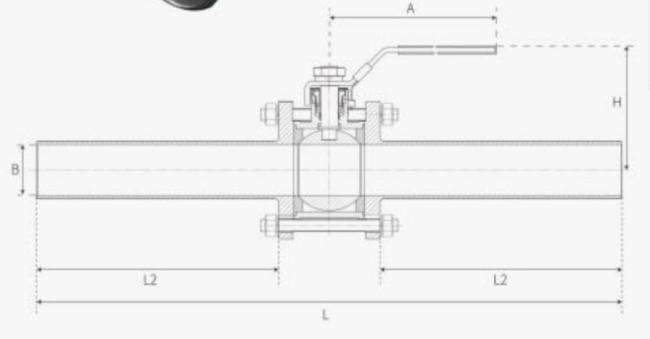 Stainelss Steel 3PC Ball Valve Extended Tube