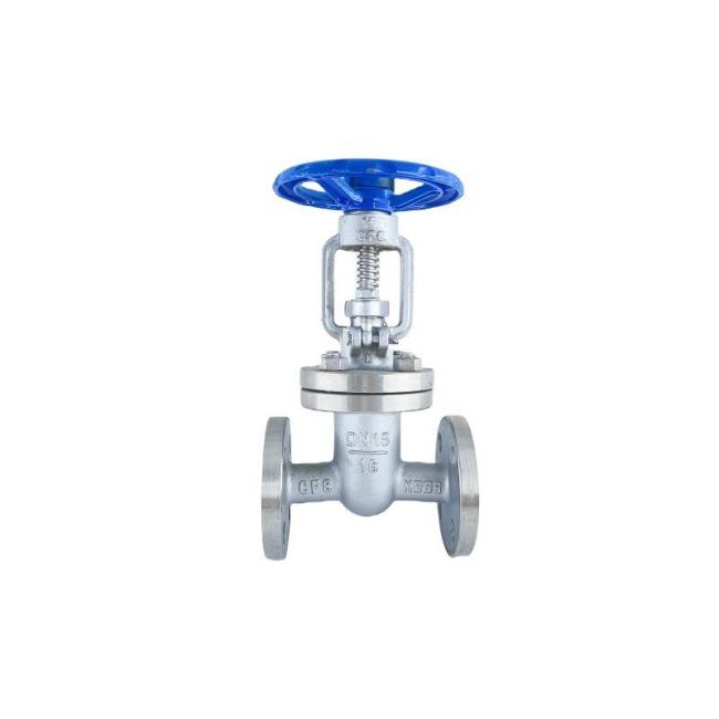 SS304/316 Stainless Steel Flange Gate Valve
