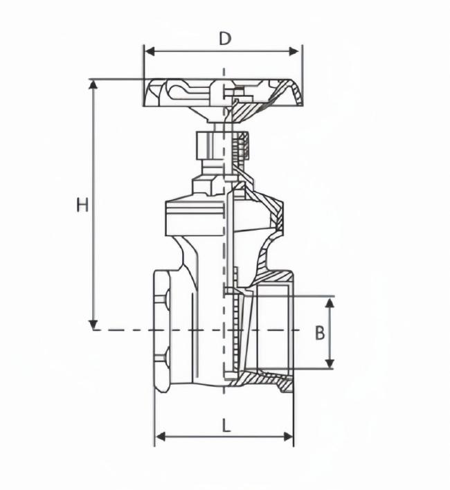 Stainless Steel 304 Thread Hand Wheel Gate Valve