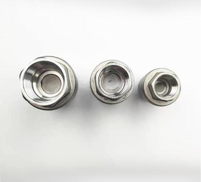 Vertical Spring Check Valve Stainless Steel Female Thread Connection