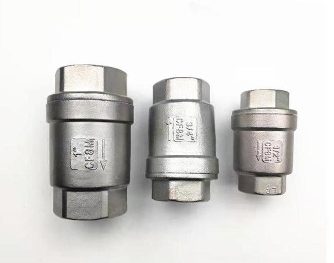 Vertical Spring Check Valve Stainless Steel Female Thread Connection