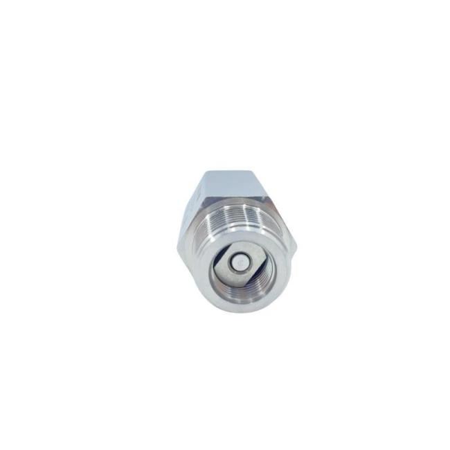 304 Stainless Steel Femal/Male Thread Check Valve