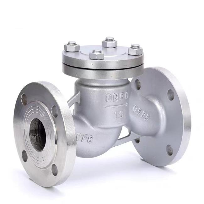 Stainless Steel Valve Body Hard Seal Flanged Connection Lift Check Valve