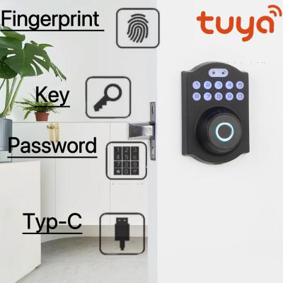 China Aluminum Alloy Residential Electronic Lock Fingerprint Smart Lock Tuya App for sale