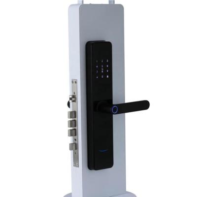 China Chinese Smart Door Lock Electric With Touch Screen 2 Years Warranty for sale