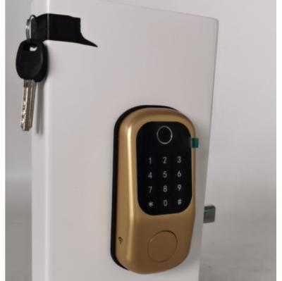 China Home Fingerprint Door Unlock Smart Look Door Push Mortise for sale