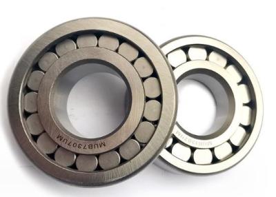 China Separable Cylindrical Roller Bearing P4 Precision Practical Double Row for sale