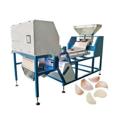 China Mealworms Optical Sorting Machine Osmanthus Fragrans CCD Color Sorter for sale