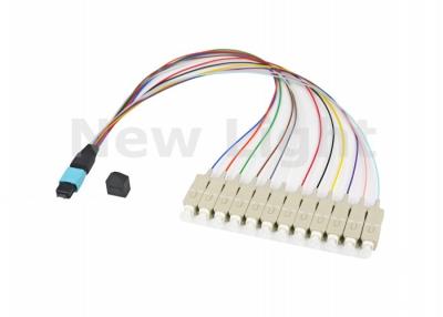 China Multi Mode OM3 MPO MTP Cable 12 Cores / 24 Cores For Storage Area Networking Fiber Channel for sale