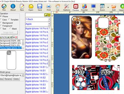 China Daqin Laptop / Video Games Pc Beauty Software Customized Stickers for sale