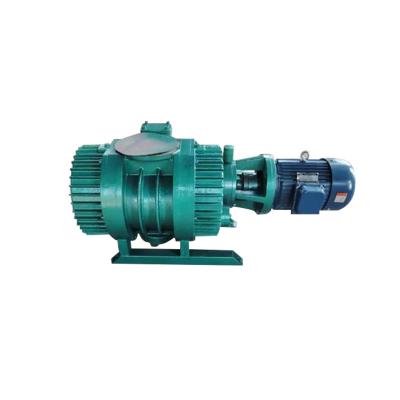 China 1.10kw-11kw Roots Vacuum Pump Used In Electronics / Machinery ZJ ZJB Series for sale