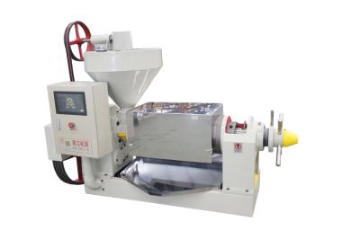 China Control del gabinete eléctrico máquina de prensa de aceite en frío máquina de extracción de aceite de semilla OEM ODM en venta