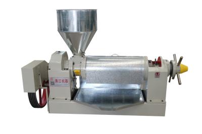 China 200-300kg/H Moinho de óleo Máquina de prensagem de coco Máquina de prensagem de óleo a quente Extração de óleo de sementes de mostarda à venda
