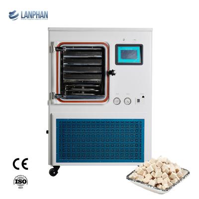 China Piloto Freeze Dryer Price del laboratorio médico de la capacidad grande de Lanphan en venta