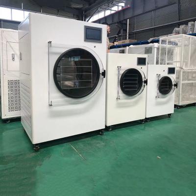 China 8 Trays Home Freeze Dryer Lyophilizer Machine Fd 10kg 15kg 20kg For Food Fruit for sale