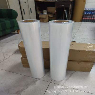 China Double side Paper Pet Film Sheet Roll For Digital Dtf Heat Transfer Printing for sale