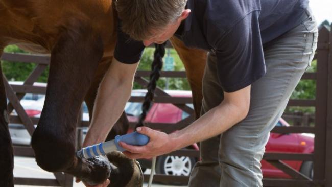 High energy shock wave therapy machine veterinary shock wave therapy machine for racehorse
