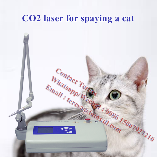 Portable 15W Surgical veterinary technology co2 laser
