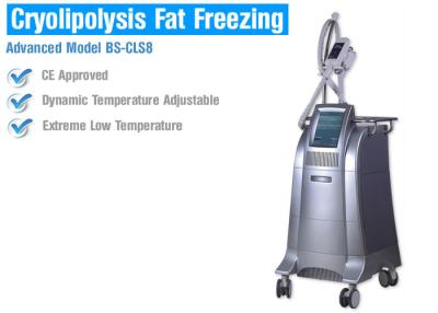 China Fat Burning Cryolipolysis Fat Freeze Slimming Machine , Fat Cavitation Machine For Men Women for sale