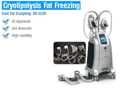 China Máquina Multifunction do emagrecimento do corpo de Cryolipolysis, equipamento de congelação gordo do emagrecimento do corpo à venda