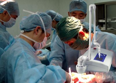 China Equipo veterinario de la terapia del laser de la máquina del retiro de la cicatriz del laser de la exhibición del LCD en venta