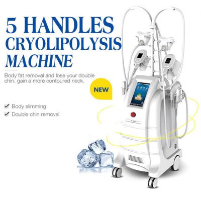 China 5 Handles Cryolipolysis Fat Freezing Machine Body Sculpting Machine For Fat Reduction for sale