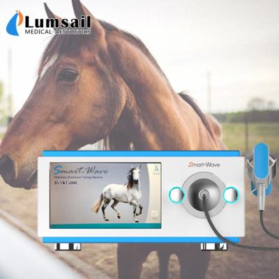 China Arthritis ESWT Pain Relief Equine Shockwave Machine for sale