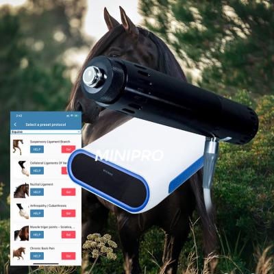 China Race Horses Relax 	Equine Shockwave Machine For Soft Tissue Injuries for sale