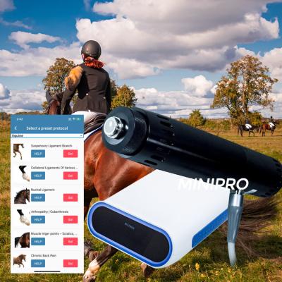 China Horse Treatment Physiotherapy Horse Shockwave Therapy Machine for sale