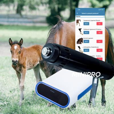 China Portable  Horse Treatment Ems Shockwave Machine With Electromagnetic Generator for sale