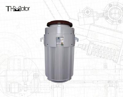 China IE2 0-40C Special Application Motors 600V 600HP For Temperature Range for sale