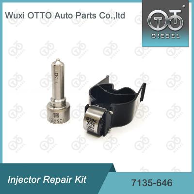 China 7135-646 Delphi Injector Repair Kit For Injector 28232251 / R03101D / R05102D for sale