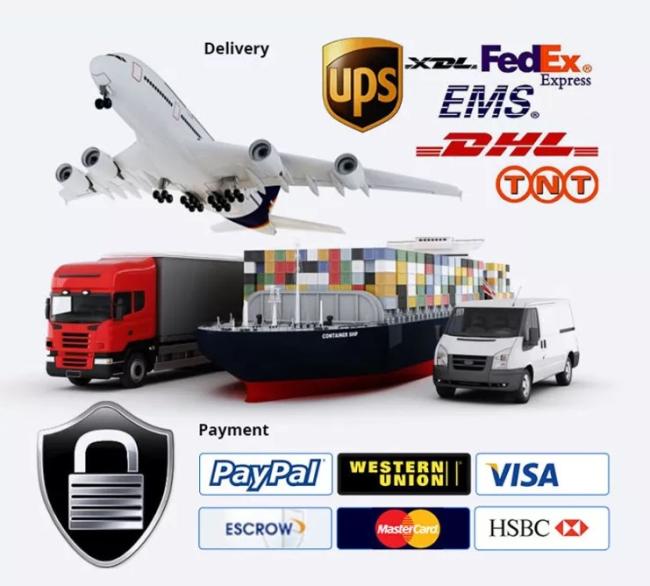 Company overview and capabilities