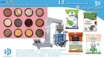 China Food factory bulk packing machine with weighing scale BSTV-550AZ for sale